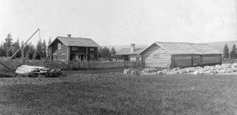 1905